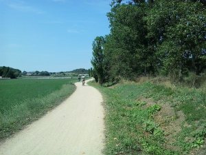 10530918_1508603582704992_7185674596084256458_n