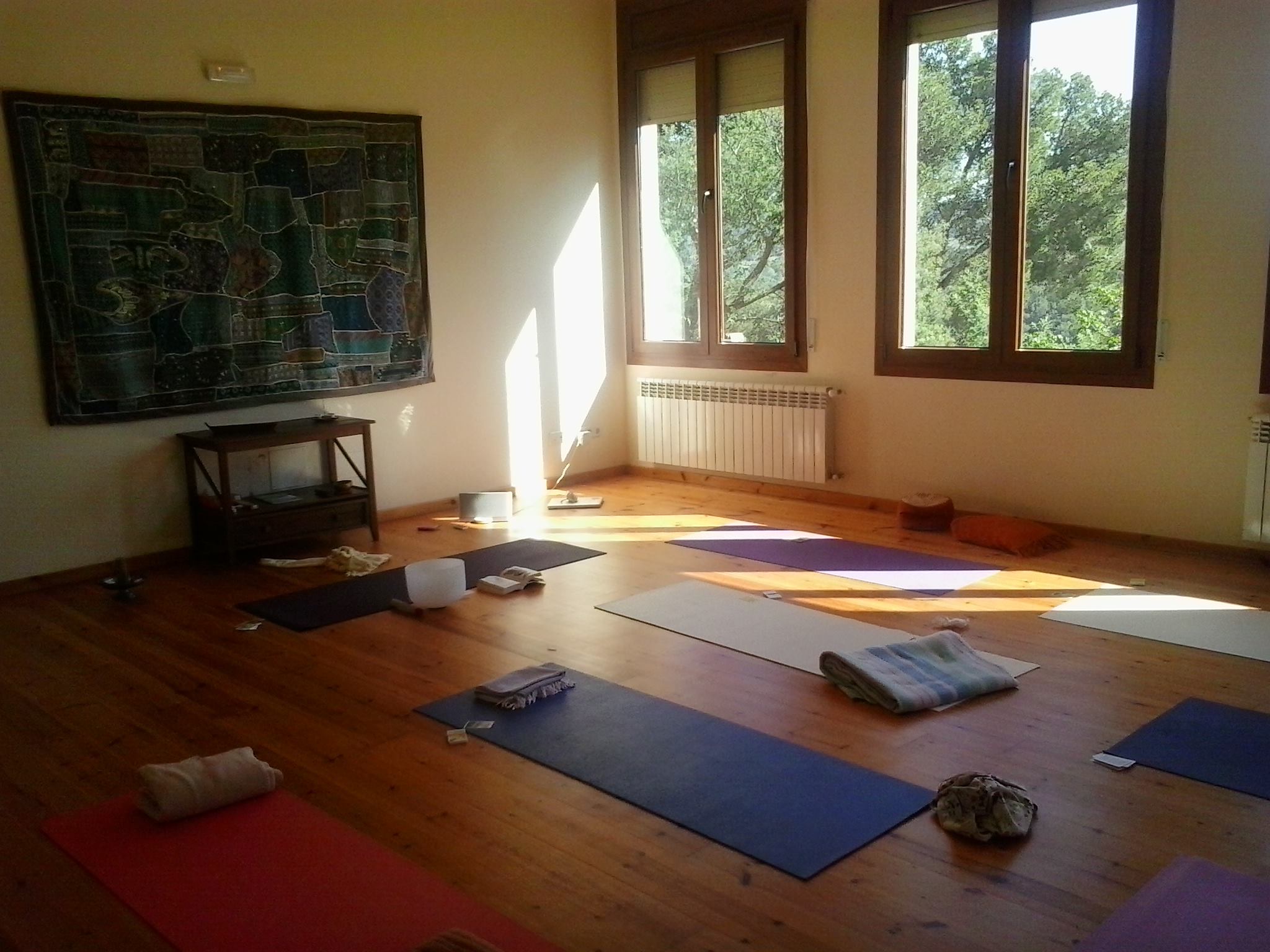 12901100_1799182886978738_8740509876954021396_o