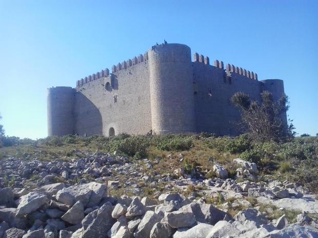 13475188_1833456013551425_5981842049561455728_o